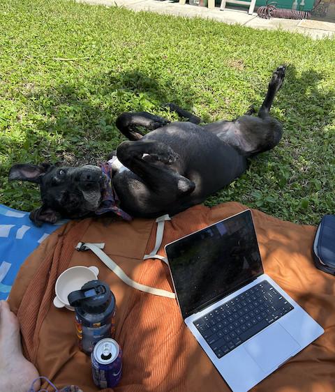 Images sadie composing at the beach.jpg